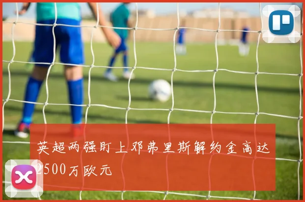 英超两强盯上邓弗里斯解约金高达2500万欧元